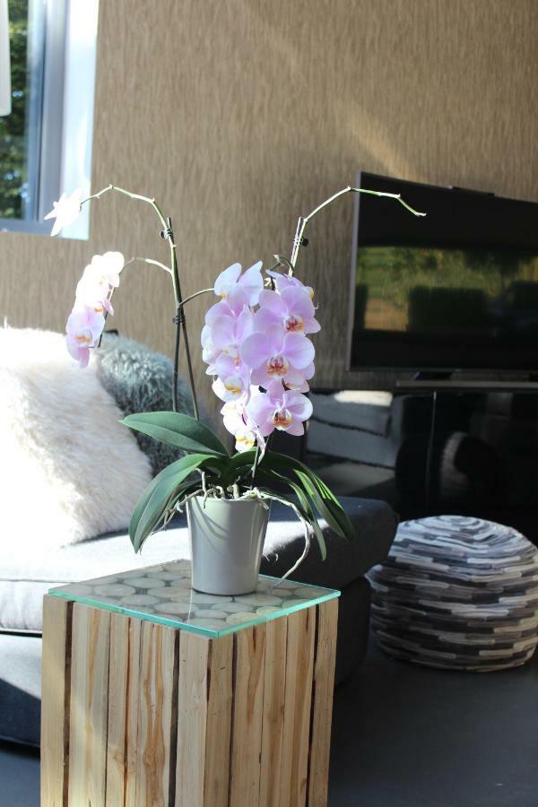 Table Et Chambre Particuliere Mons Exteriör bild